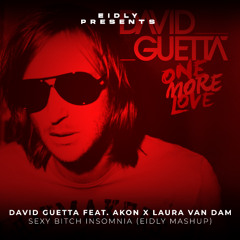 David Guetta feat. Akon X Laura Van Dam - Sexy Bitch Insomnia (Eidly Mashup)[CUT Filtered]
