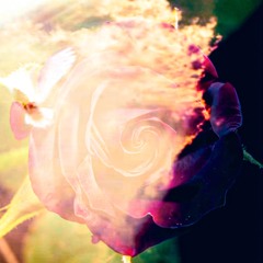 Vuelve A Ti - Noise Pablo + XXAMORXX + MARIO.CORREA