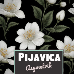 Pijavica
