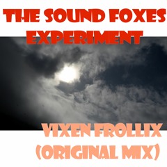 Vixen Frollix (Original Mix)