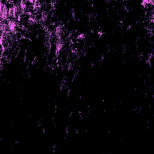 [MARMELADE]