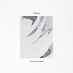 Polygonia - Above Ground