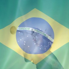 geese taxes (dj saviola funk br edit)