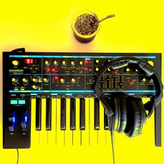 Bass Station II Synth Impro #2 (23-may-2020)