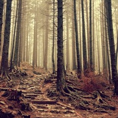 Organic Fresh Grown Beets