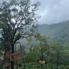 #2 echo of the first sound .mp3