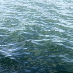 The Way of the World (voice note and beat combo).wav