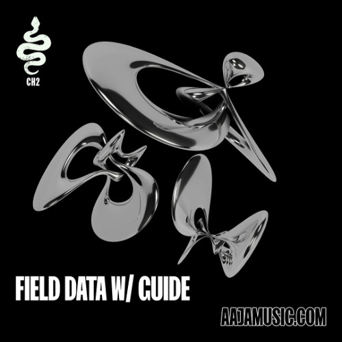 Field Data w/ Guide - Aaja channel 2 - 21 11 25