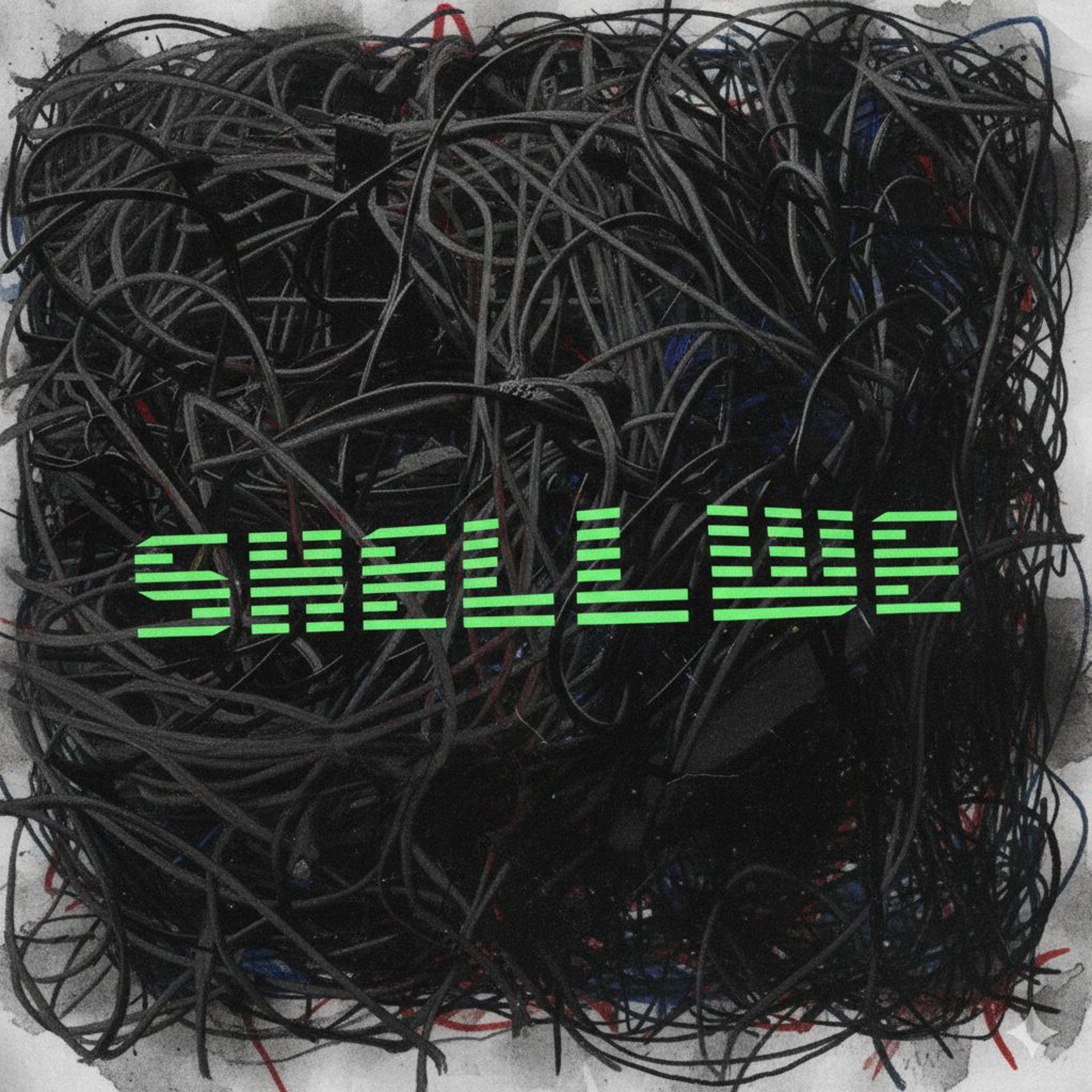 ShellWe (new edit) - Echo episode artwork