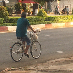hồng no guy ft.Nhtvux