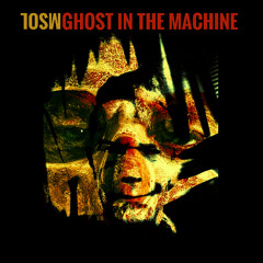 Ghost in the Machine
