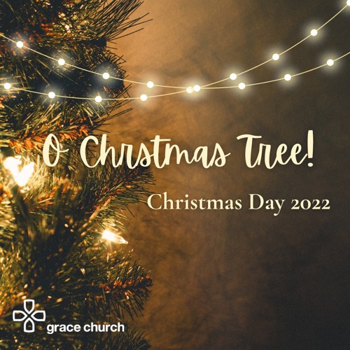 Stream Oh Christmas Tree! 25/12/22 Matt Chapman by Grace Church