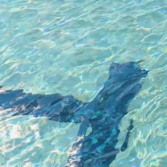 aoihr - POOL