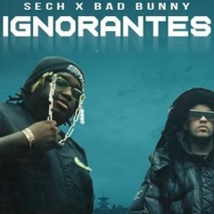 Dj Shisu Remix Ignorantes - Bad Bunny X Sech (Intro No Se Si Fue)