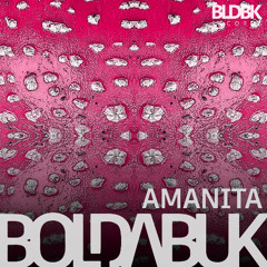 Boldabuk - Amanita ( original mix )