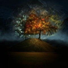 Talktofoerest - Ingwë Tinúviel