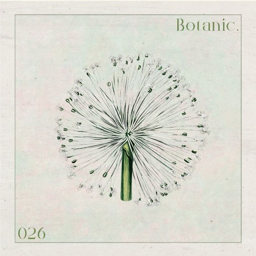 Botanic Podcast - 026 - Küste