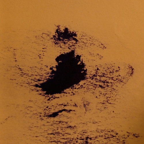 Mary Shelley & The Implicit Order- It's Slippery In Here