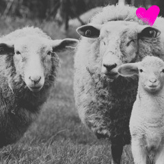 (a SHAUN THE SHEEP inspired song) when I'm with you.