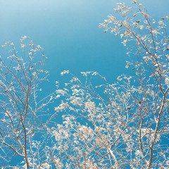 BEYOND LIFE...