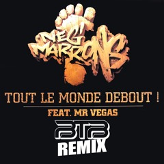 Neg' Marrons - Tout Le Monde Debout (BTB REMIX)