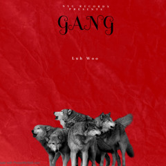Gang-Luh Woo
