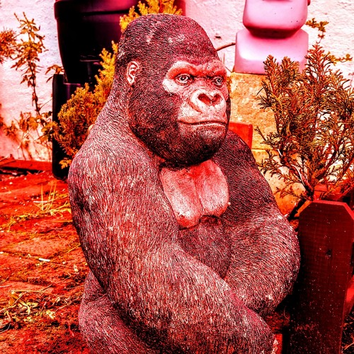 Seriously Silly à la Selecta - Gorilla Big Chill
