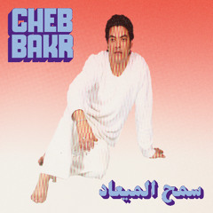 Habibi Funk 029: Cheb Bakr - Samh Almea'ad