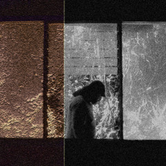 The Fake Awakening: Dharma Beats Vol. 1