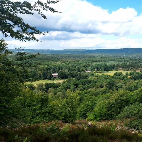 The Same Parents -Demo