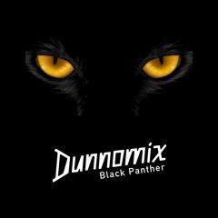 Crystal Castles - Black Panther (Dunnomix cover)