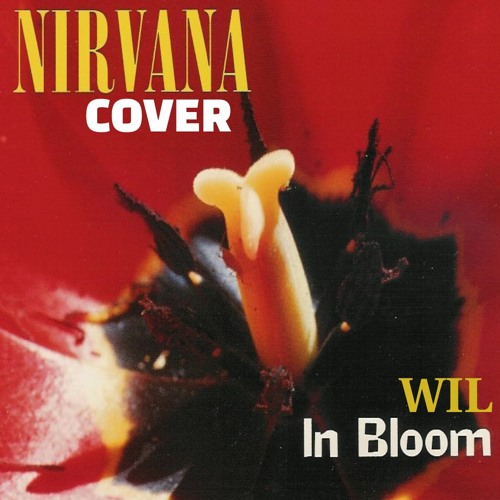 In Bloom | Nirvana