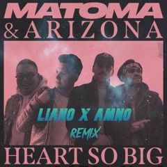 Matoma & ARIZONA - Heart So Big (Liano X Amno - Remix)