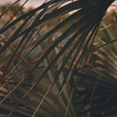 playboicarti - ^3 cAncUN (slowed)