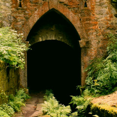 Dom Distopia1