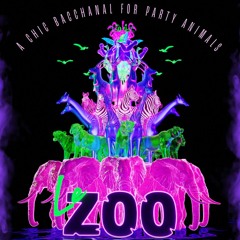 Le Zoo - pop tech afrohouse mix
