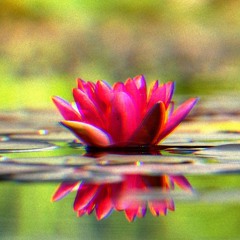 reflections