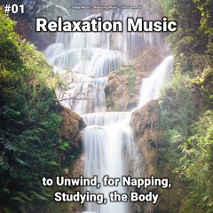 Serene Music for Studying