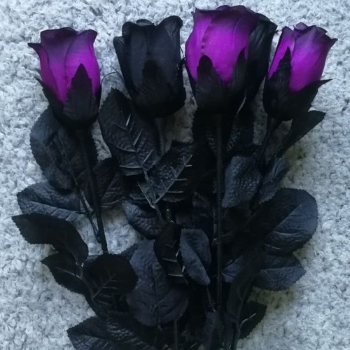 fav