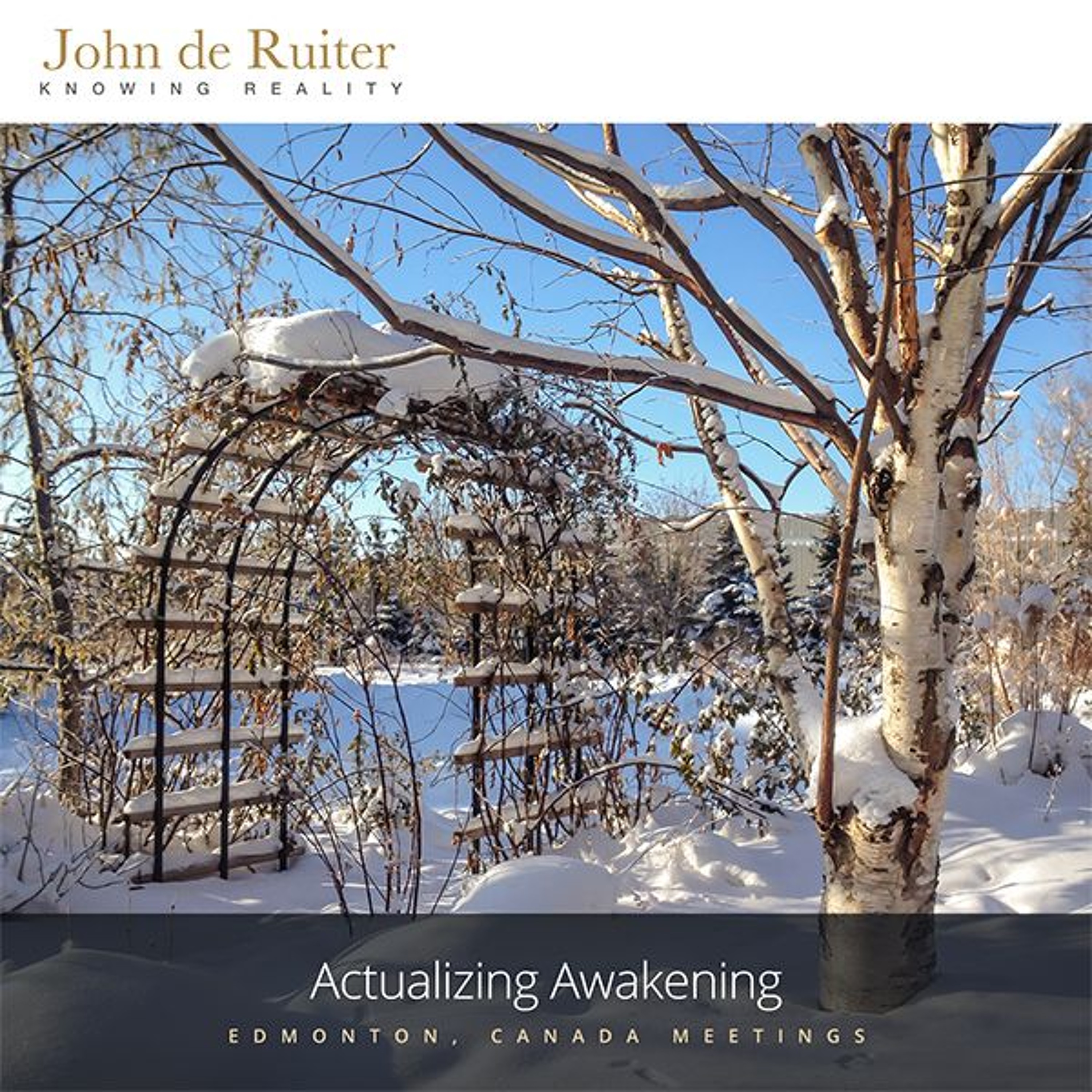 220 - Actualizing Awakening - 1 of 3 episode artwork