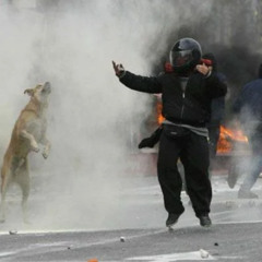 SET HARDCORE GABBER - MUSIQUE POUR CHIEN