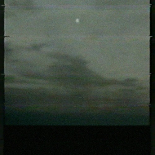 the grey coast
