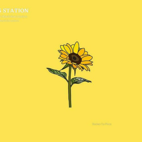 Stream Rex Orange County Sunflower By Baconzitoxx Listen Online For Free On Soundcloud