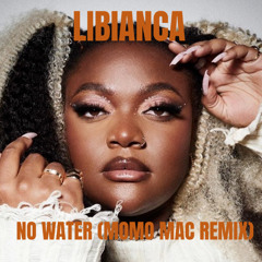 Libianca - No Water (Momo Mac - remix)