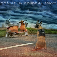 08 Comme Un Bouddha Feroce
