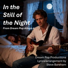 In the Still of the Night