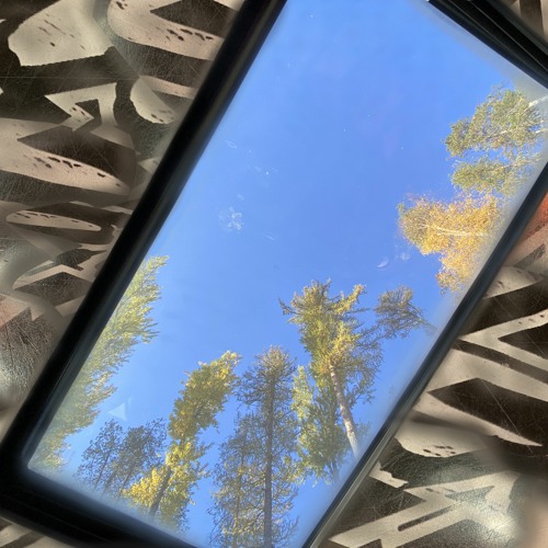 the whole world (feat. sunflxwer)