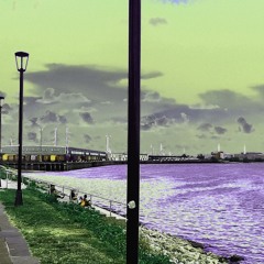 No new (or old) friends