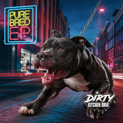 No Comeback No Vocal