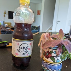 TABER ANTHEM (v3).mp3